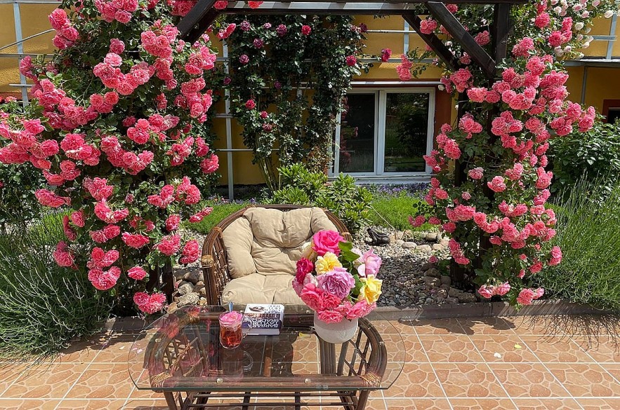 Overseas Vietnamese Woman Grows Blooming Garden in Germany Overseas Vietnamese Woman Grows Blooming Garden in Germany