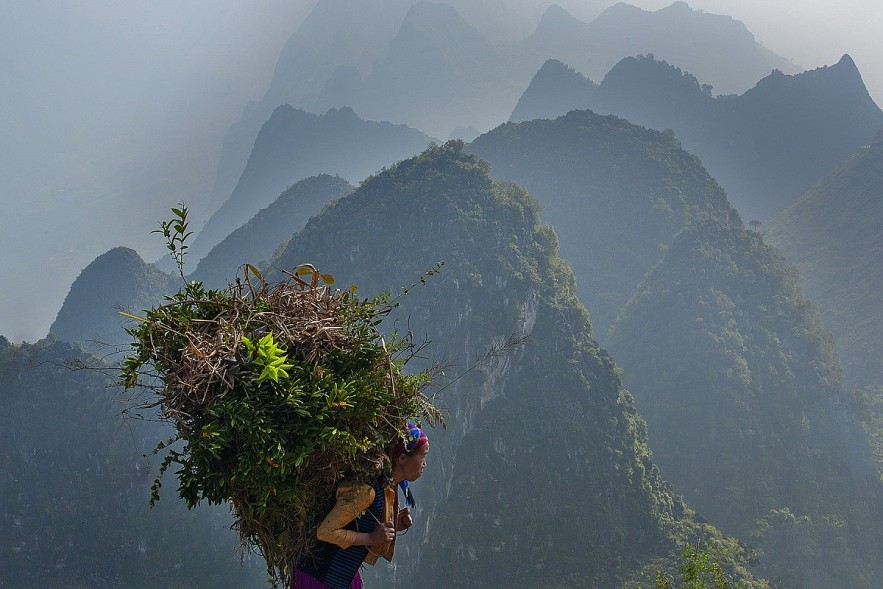 Photo courtesy of Huu Thong Photo courtesy of Huu Thong