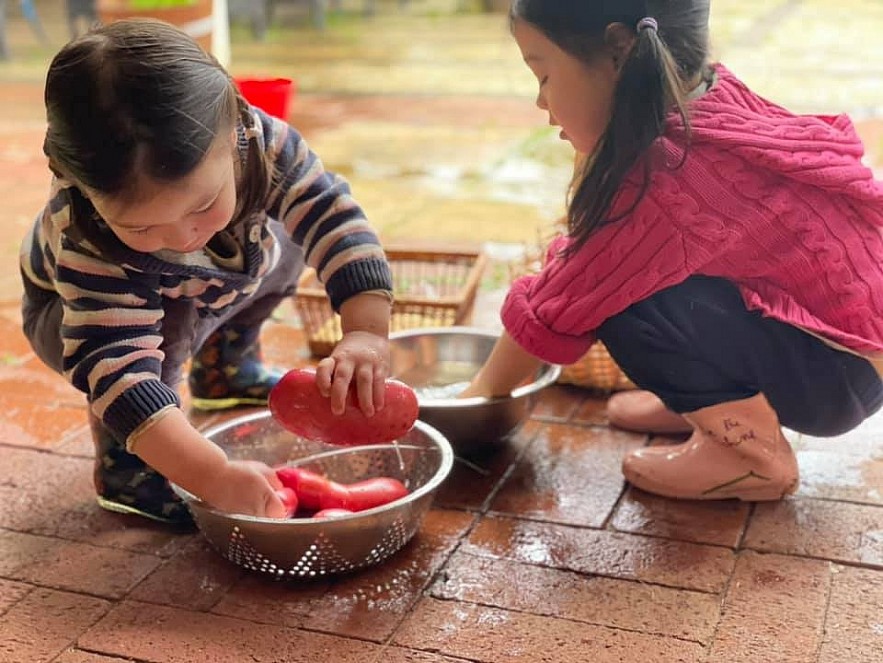 Beets by Tu Anh: Vietnamese Expat Grows Giant Produce in Australia Beets by Tu Anh: Vietnamese Expat Grows Giant Produce in Australia