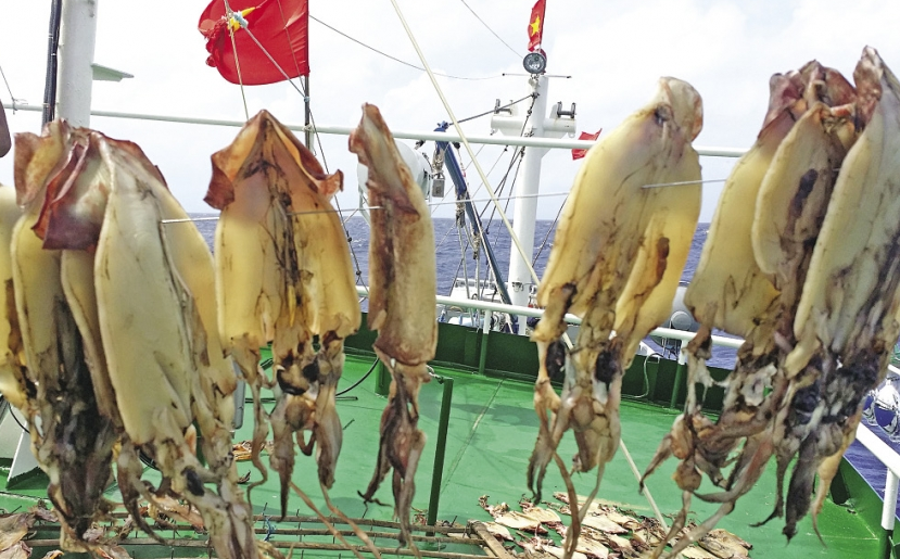 Khoảnh khắc giữa biển khơi Khoảnh khắc giữa biển khơi