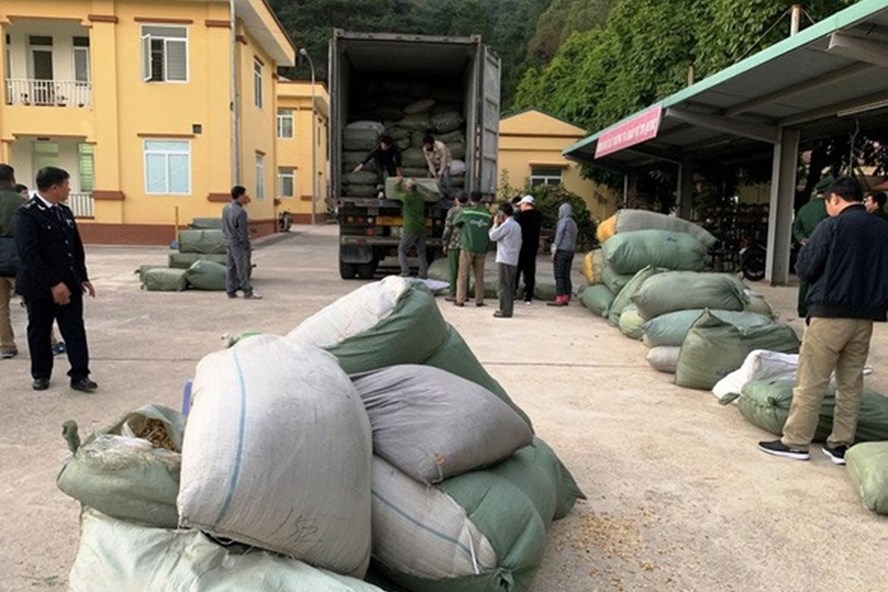 Vụ buôn lậu 5.000 tấn thuốc bắc: Tách điều tra riêng vụ hối lộ lãnh đạo Hải quan Vụ buôn lậu 5.000 tấn thuốc bắc: Tách điều tra riêng vụ hối lộ lãnh đạo Hải quan