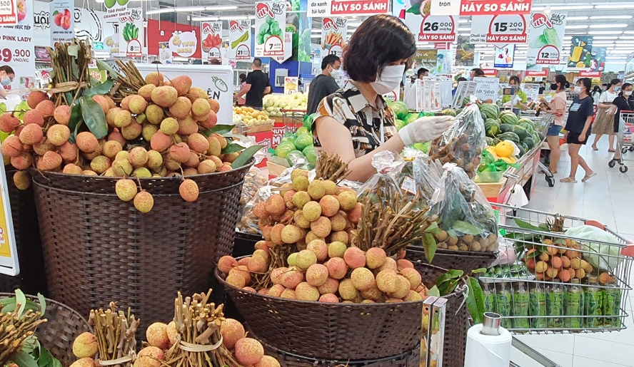 Thủ tướng chỉ đạo tháo gỡ khó khăn tiêu thụ nông sản cho Bắc Giang Thủ tướng chỉ đạo tháo gỡ khó khăn tiêu thụ nông sản cho Bắc Giang