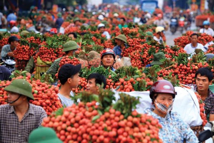 Thủ tướng Phạm Minh Chính: Chuyển nông nghiệp sản lượng cao sang nông nghiệp công nghệ cao, sinh thái