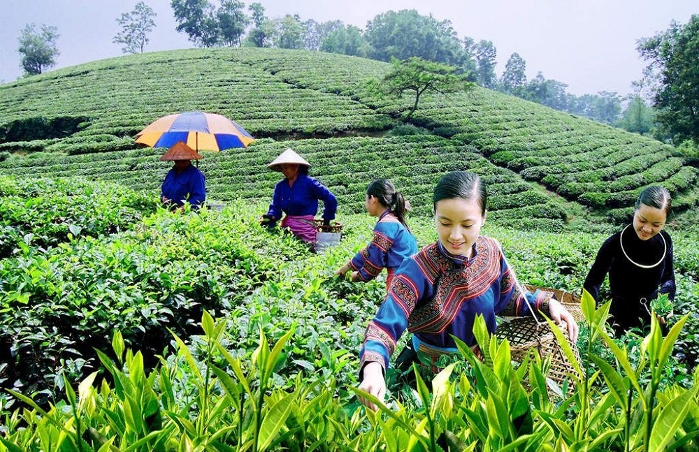 Điều lệ Liên minh Hợp tác xã Việt Nam Điều lệ Liên minh Hợp tác xã Việt Nam