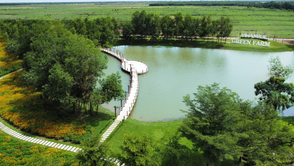 Vượt qua Vượt qua