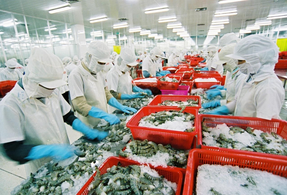 Việt Nam sẽ trở thành trung tâm chế biến thủy sản hàng đầu thế giới Việt Nam sẽ trở thành trung tâm chế biến thủy sản hàng đầu thế giới