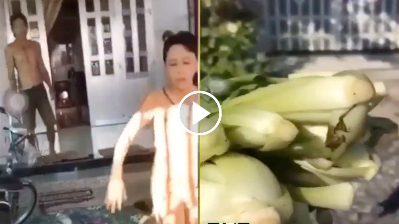 Đôi vợ chồng từ chối nhận rau, lăng mã người hỗ trợ Đôi vợ chồng từ chối nhận rau, lăng mã người hỗ trợ