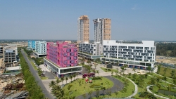 bang ron phan doi do ruc cong chu dau tu cocobay da nang