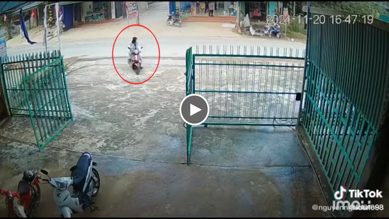 Cô gái khóc thương chú chó, mặc kệ người bị nạn Cô gái khóc thương chú chó, mặc kệ người bị nạn