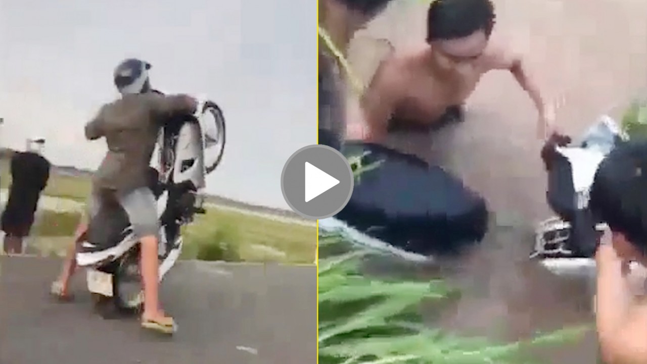 Biểu diễn Biểu diễn