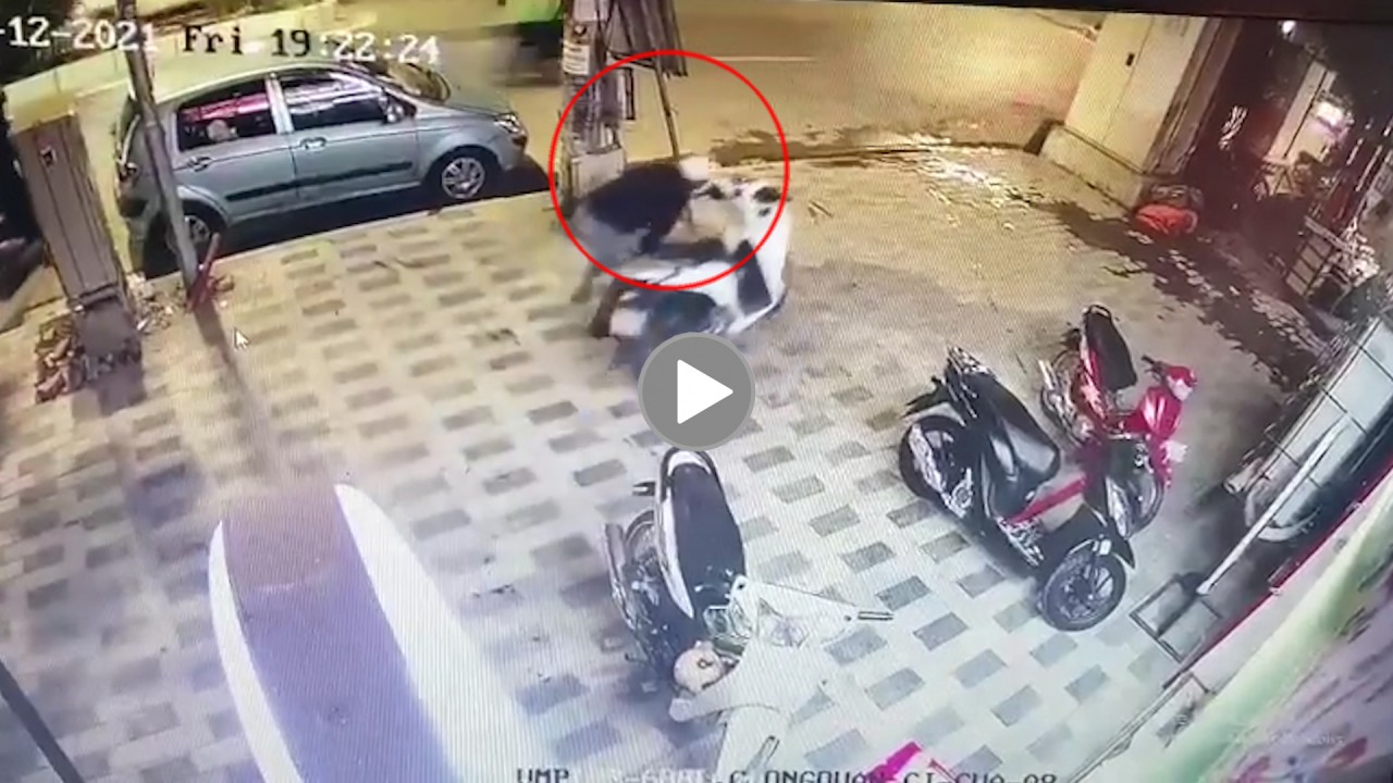 Tên trộm nhanh tay bẻ khóa xe SH rồi Tên trộm nhanh tay bẻ khóa xe SH rồi