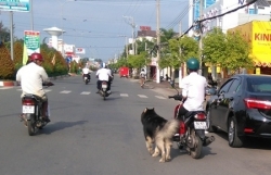 tu 112020 nguoi ngoi ghe sau o to khong that day an toan cung se bi xu phat