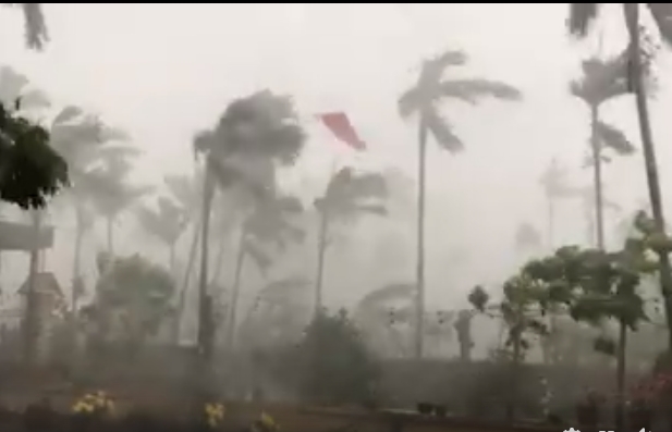 thai binh be gai hon 1 tuoi bi bo roi trong dem kem buc thu cua nguoi me khong tot