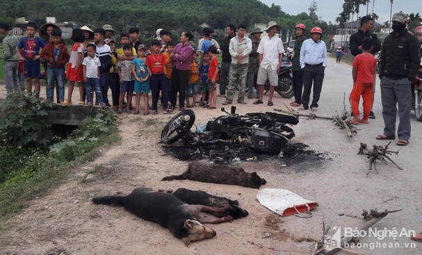 Nghi trộm chó, 2 thanh niên bị vây đánh thương vong, đốt xe máy nghi trom cho 2 thanh nien bi vay danh thuong vong dot xe may