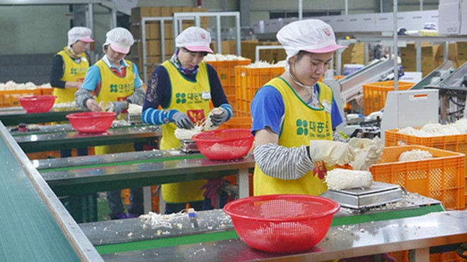 Lao động Việt Nam làm việc ở nước ngoài mất việc vì Covid-19 sẽ được hỗ trợ gì? lao dong viet nam lam viec o nuoc ngoai mat viec vi covid 19 se duoc ho tro gi