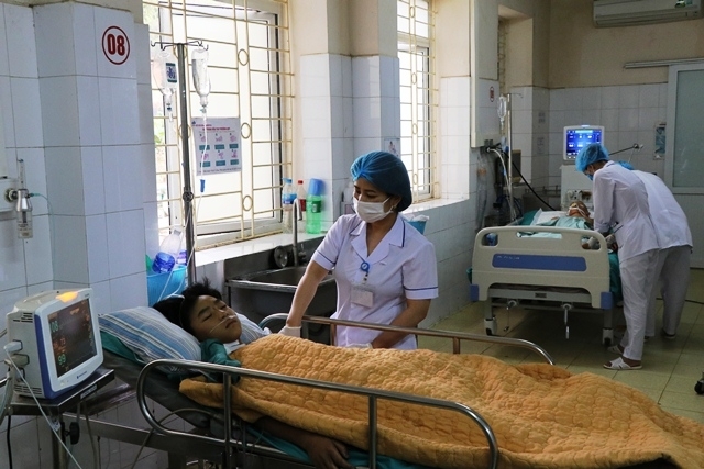 Ăn nhầm nấm độc khi đi chăn trâu, em tử vong, anh nguy kịch an nham nam doc khi di chan trau em tu vong anh nguy kich