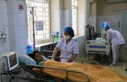 vu tien si bui quang tin tu vong dai hoc ngan hang tphcm bao cao gi