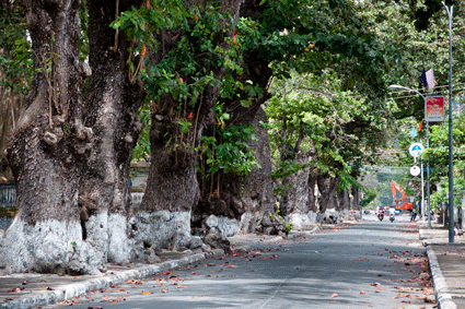 Khám phá vẻ đẹp huyền bí, linh thiêng của Côn Đảo kham pha ve dep huyen bi linh thieng cua con dao