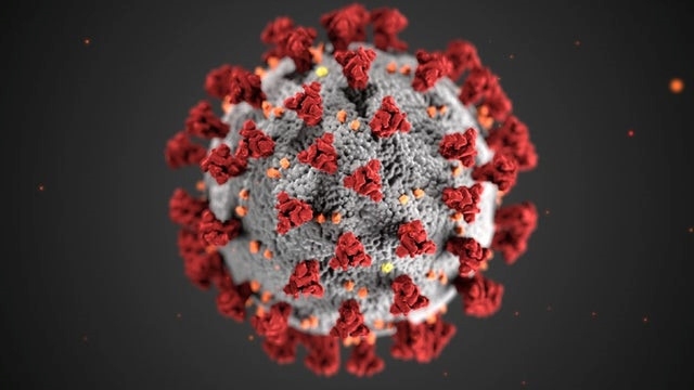 Tình báo Mỹ phủ nhận thông tin virus SARS-CoV-2 do con người tạo ra tinh bao my phu nhan thong tin virus sars cov 2 do con nguoi tao ra