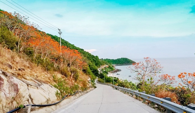 Cù Lao Chàm - 'hòn ngọc xanh' với nhiều thế mạnh về kinh tế, du lịch cu lao cham dia diem du lich day me hoac trong nhung ngay he oi buc