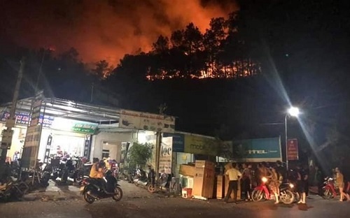 Rừng thông ở Hà Tĩnh lại bùng cháy dữ dội, người dân sơ tán trong đêm rung thong o ha tinh lai bung chay du doi nguoi dan so tan trong dem
