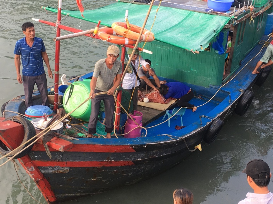 Tìm thấy thi thể cháu bé 4 tuổi rơi xuống biển ở Hạ Long tim thay thi the chau be 4 tuoi roi xuong bien o ha long