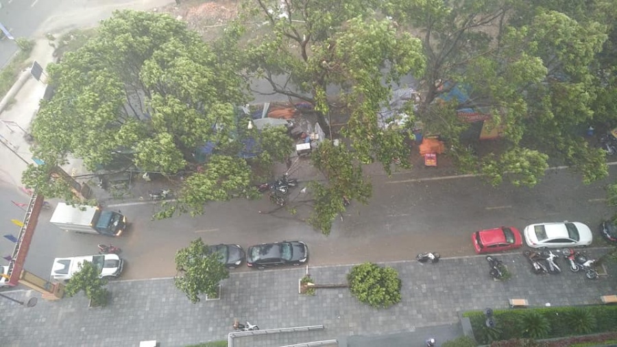 Mưa dông dữ dội quật ngã nhiều cây xanh, Hà Nội lại ngập mua dong du doi quat nga nhieu cay xanh ha noi lai ngap