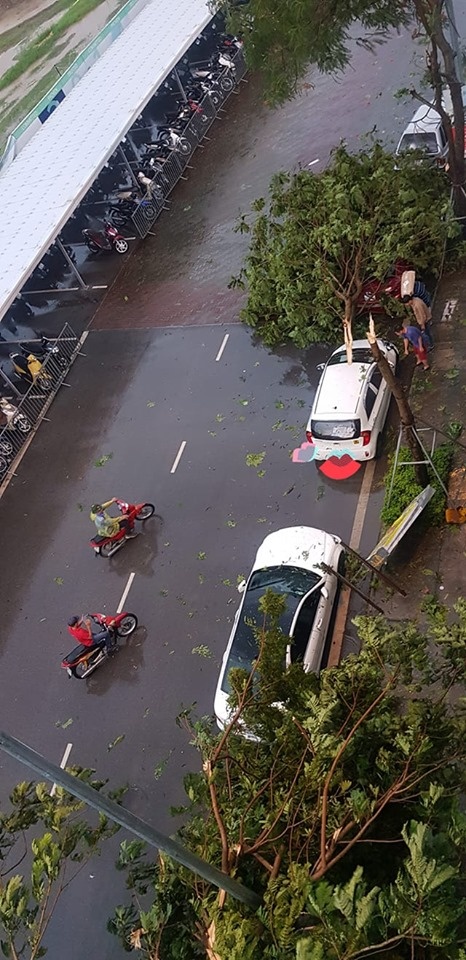 Mưa dông dữ dội quật ngã nhiều cây xanh, Hà Nội lại ngập mua dong du doi quat nga nhieu cay xanh ha noi lai ngap