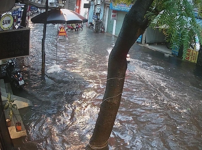 Mưa dông dữ dội quật ngã nhiều cây xanh, Hà Nội lại ngập mua dong du doi quat nga nhieu cay xanh ha noi lai ngap
