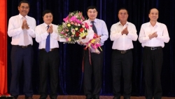 bi thu tinh ha nam nguyen dinh khang giu chuc bi thu dang doan tong ldld viet nam