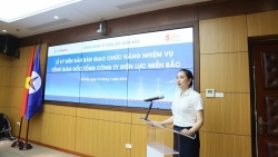 khung gia ban buon dien 2019 cao nhat 1790 dongkwh