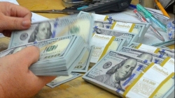 ty gia ngoai te trong nuoc hom nay 273 deu tang vot