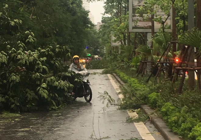 Cơn dông kinh hoàng thổi bay người, quật ngã nhiều cây xanh ở Hà Nội con dong kinh hoang thoi bay nguoi quat nga nhieu cay xanh o ha noi