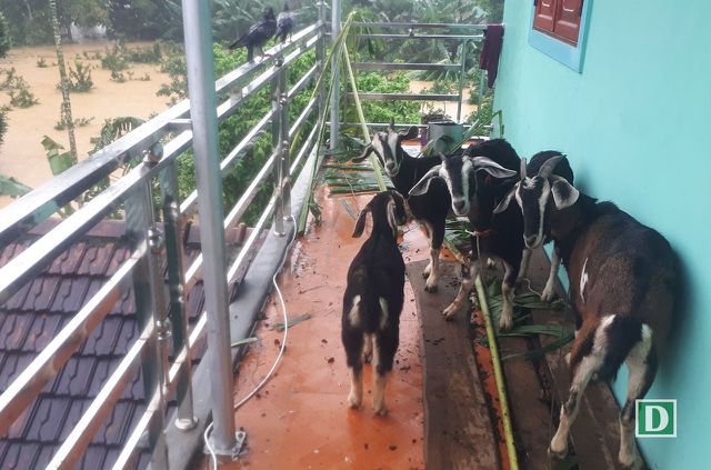 Những ngôi làng chìm sâu trong biển nước ở Hà Tĩnh am anh nhung ngoi lang chim sau trong bien nuoc