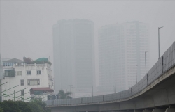 ha noi se xu phat nguoi dung bep than to ong tu nam 2021