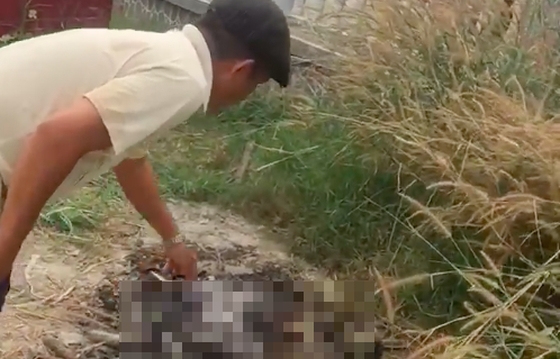 tin tuc 24h moi nhat ban tin phap luat nong nhat hom nay 912