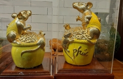 loai chuot khong lo to nhat the gioi xuat hien o ha noi