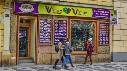 giao su vo van toi viet kieu muon sang tao san pham y khoa made in vietnam