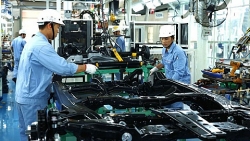 sau cac hiep dinh thuong mai fdi se gia tang khong chi tu eu