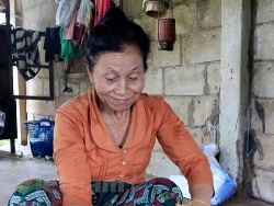 hoi huu nghi viet nam lao don nhan huan chuong huu nghi cua chinh phu lao