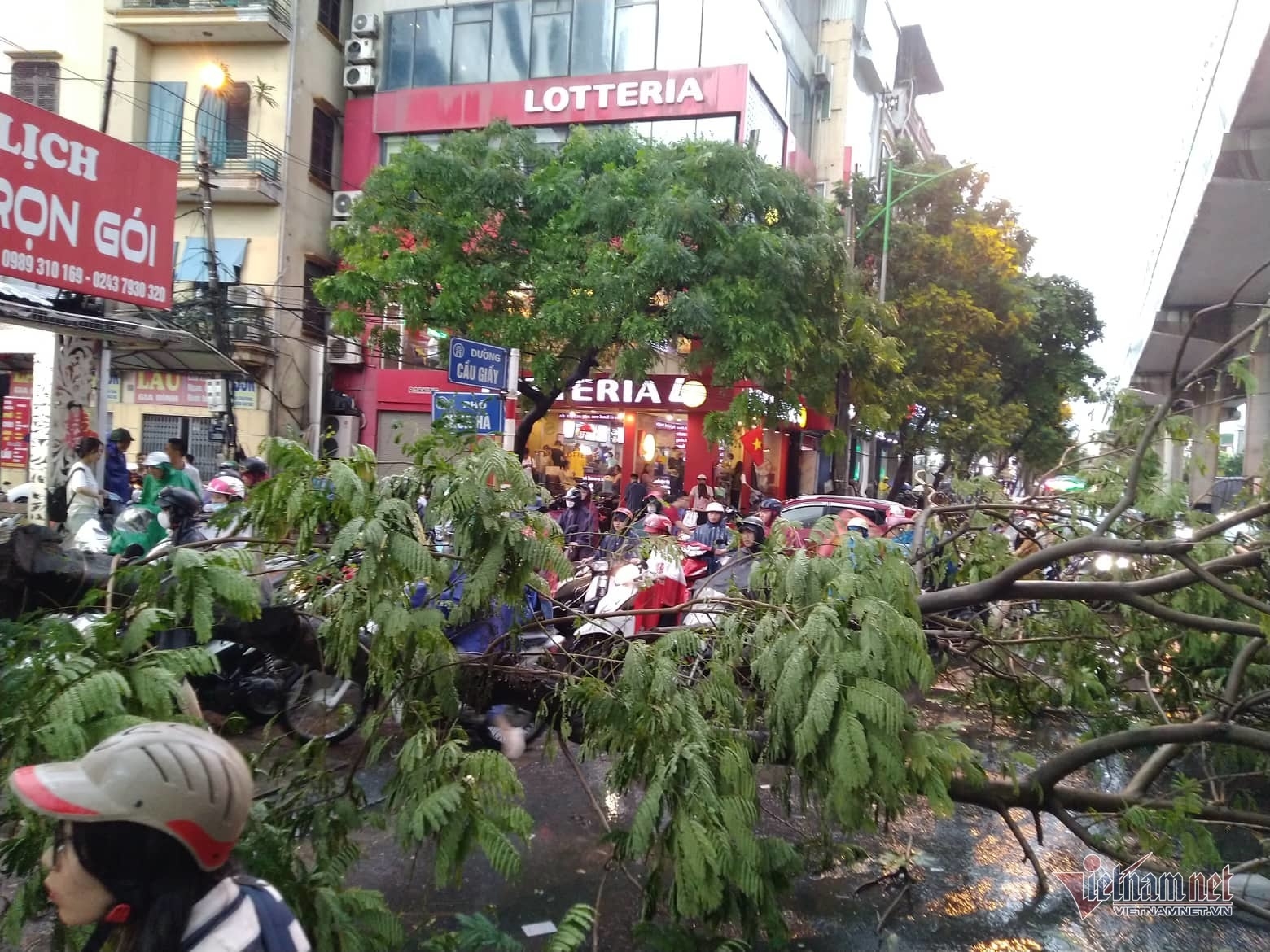 Giông lốc Hà Nội: Cây xanh đổ rạp, có người thương vong giong loc ha noi cay xanh do rap co nguoi thuong vong