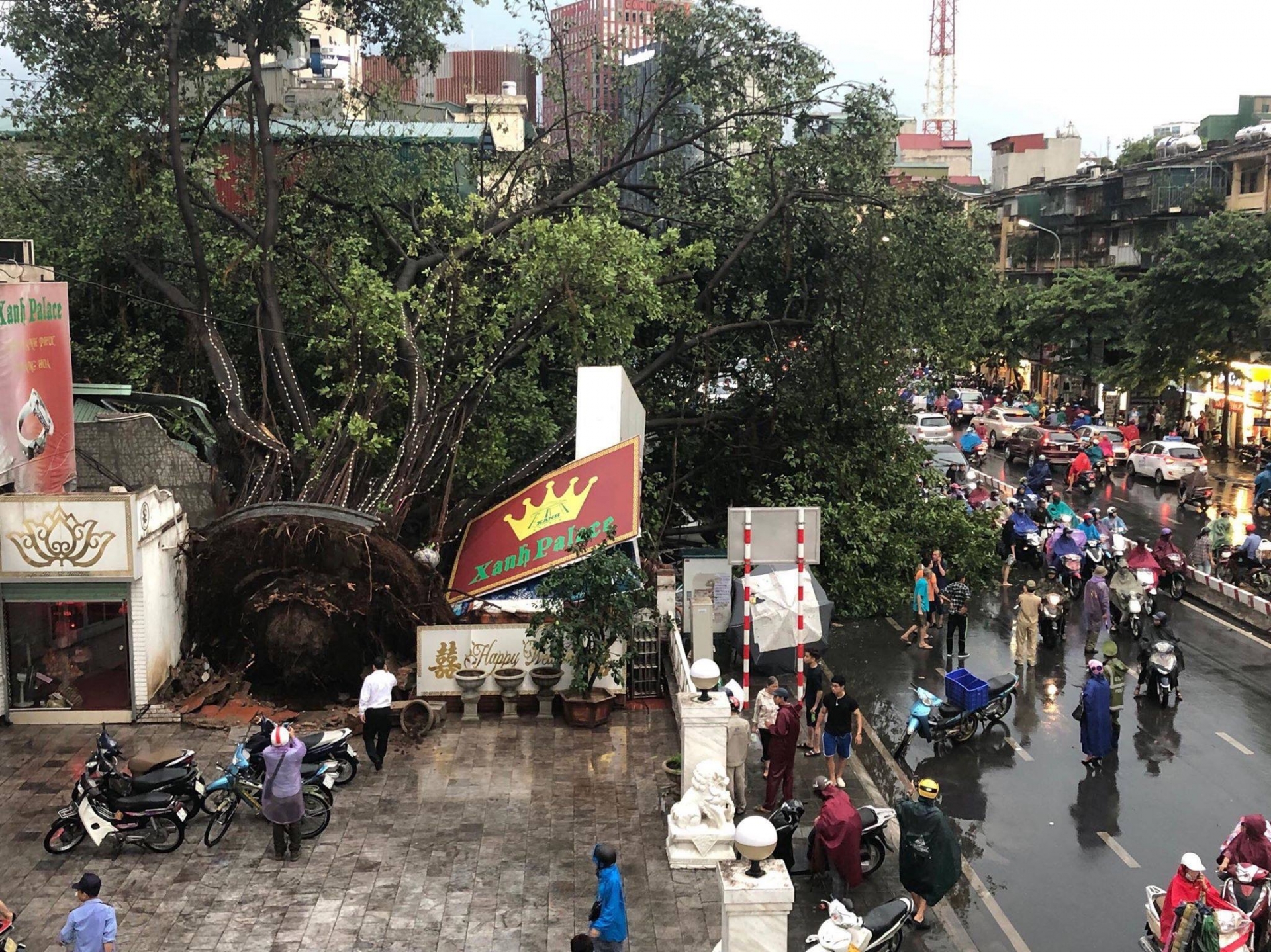 Giông lốc Hà Nội: Cây xanh đổ rạp, có người thương vong giong loc ha noi cay xanh do rap co nguoi thuong vong