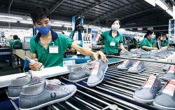 kieu bao tphcm chung suc phat trien va nang tam doanh nghiep viet nam