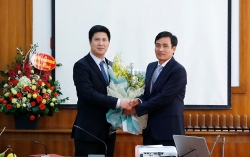 video vi sao hang ngan nguoi do xo den nhung vuon hoa cuc hoa mi lon nhat ha noi