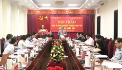8 to chuc phi chinh phu nuoc ngoai chung tay thanh lap mang luoi vi dinh duong viet