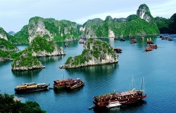 cau kinh rong may dau tien o viet nam vua chinh thuc mo cua co gi dac biet