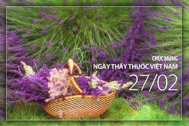 Những tấm thiệp đẹp và ý nghĩa chúc mừng ngày Thầy thuốc Việt Nam 27/2 nhung tam thiep dep va y nghia chuc mung ngay thay thuoc viet nam