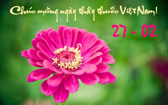 Những tấm thiệp đẹp và ý nghĩa chúc mừng ngày Thầy thuốc Việt Nam 27/2 nhung tam thiep dep va y nghia chuc mung ngay thay thuoc viet nam