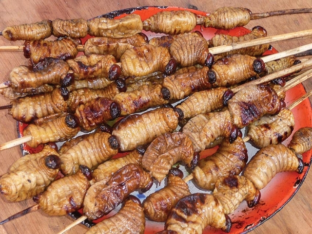 5 đặc sản của Việt Nam gây tò mò với thực khách nước ngoài 5 dac san cua viet nam gay to mo voi thuc khach nuoc ngoai