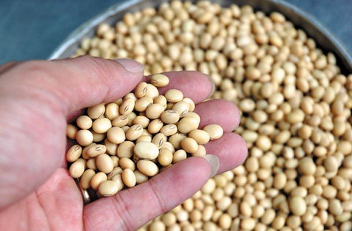 5 loại thực phẩm chị em tuyệt đối không kết hợp với thịt lợn 5 loai thuc pham chi em tuyet doi khong ket hop voi thit lon